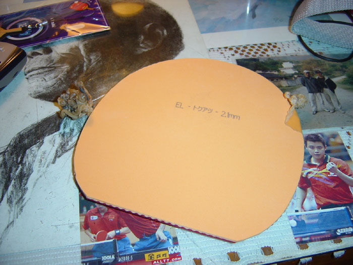 5dDdl06n.jpg