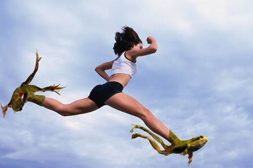 �����֪��zball������ʲô���ĳ�����