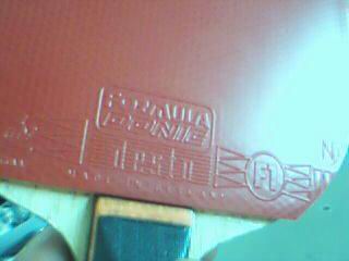 תֻ��һ�ε�F1