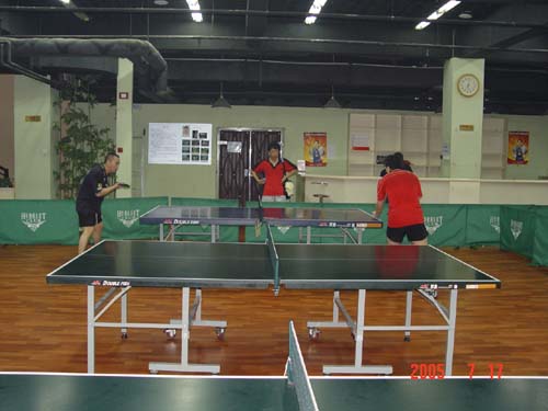 ������ׯ����������ר��