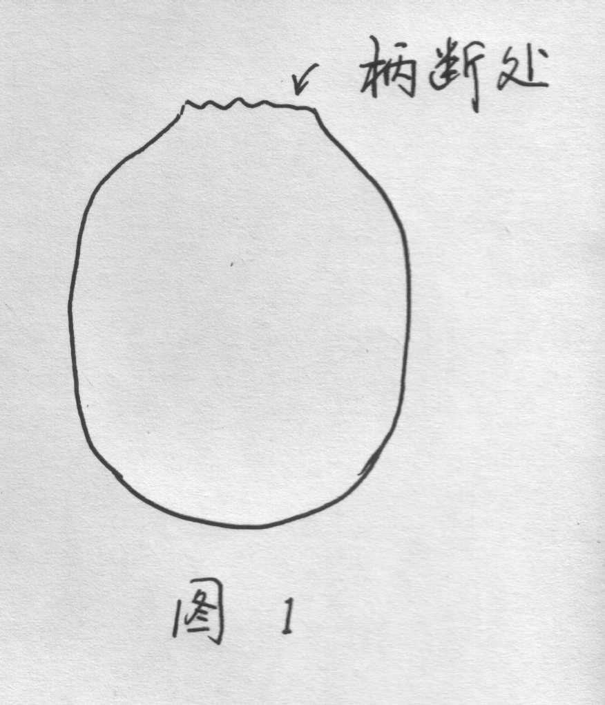 ��֫��ֲ��[ԭ��]