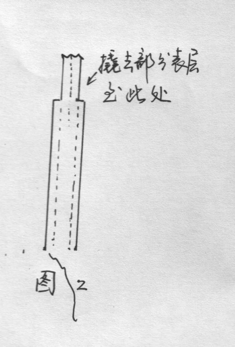 ��֫��ֲ��[ԭ��]