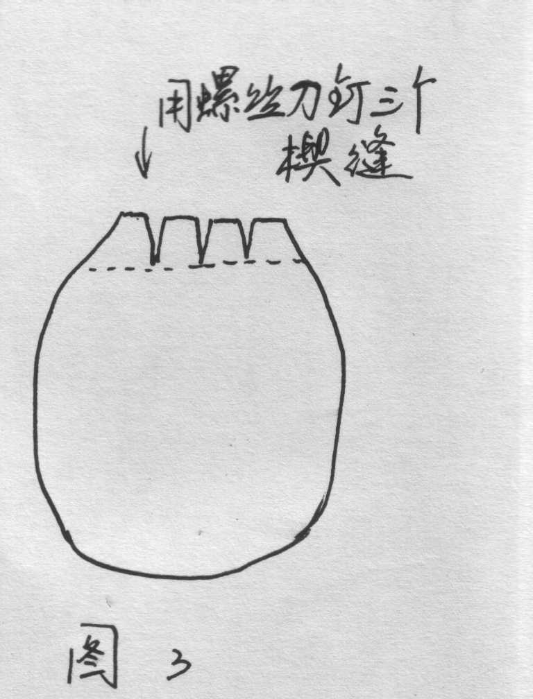 ��֫��ֲ��[ԭ��]