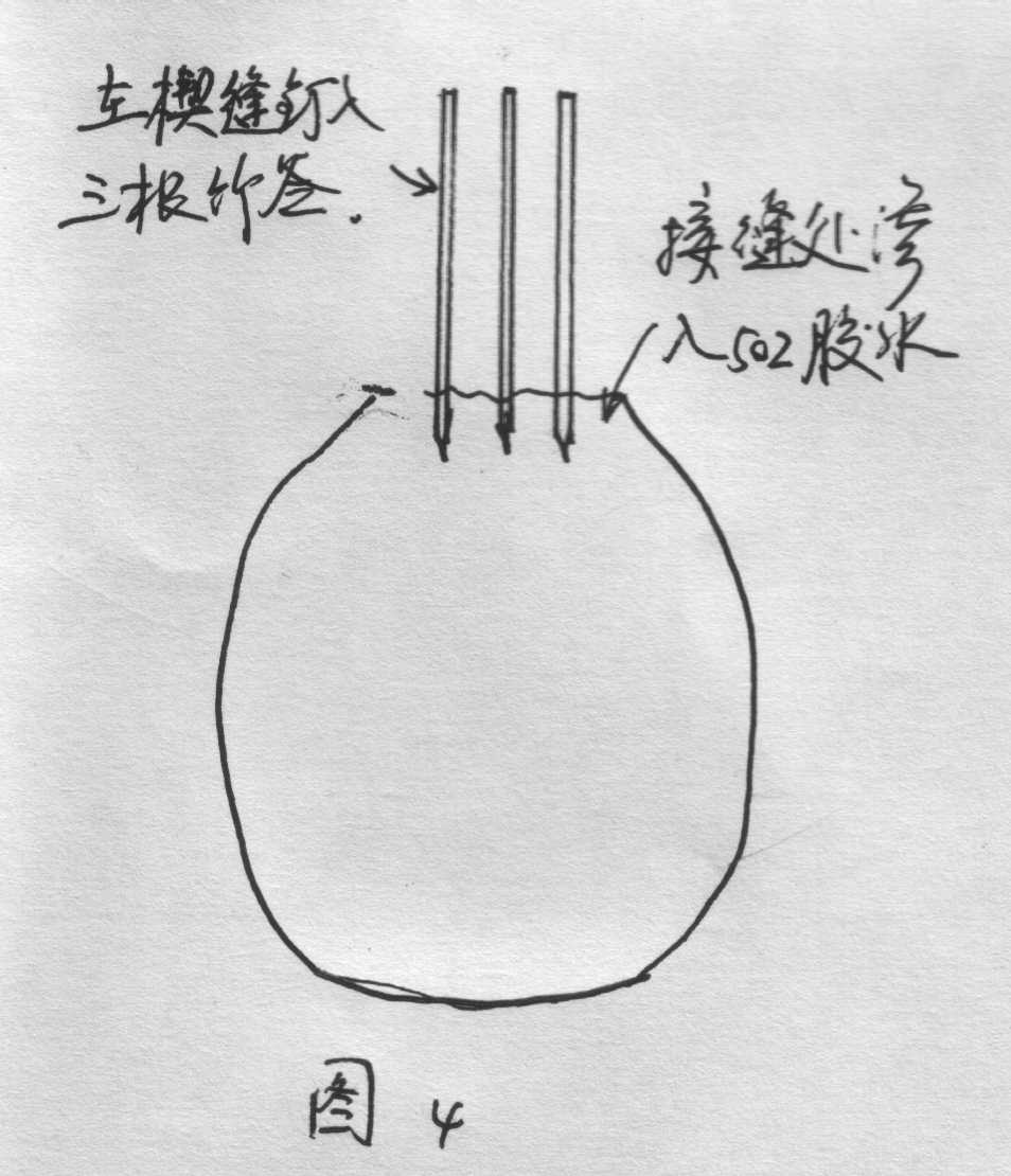 ��֫��ֲ��[ԭ��]