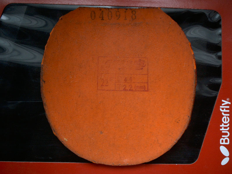 ת��N�齺Ƥ���п�����