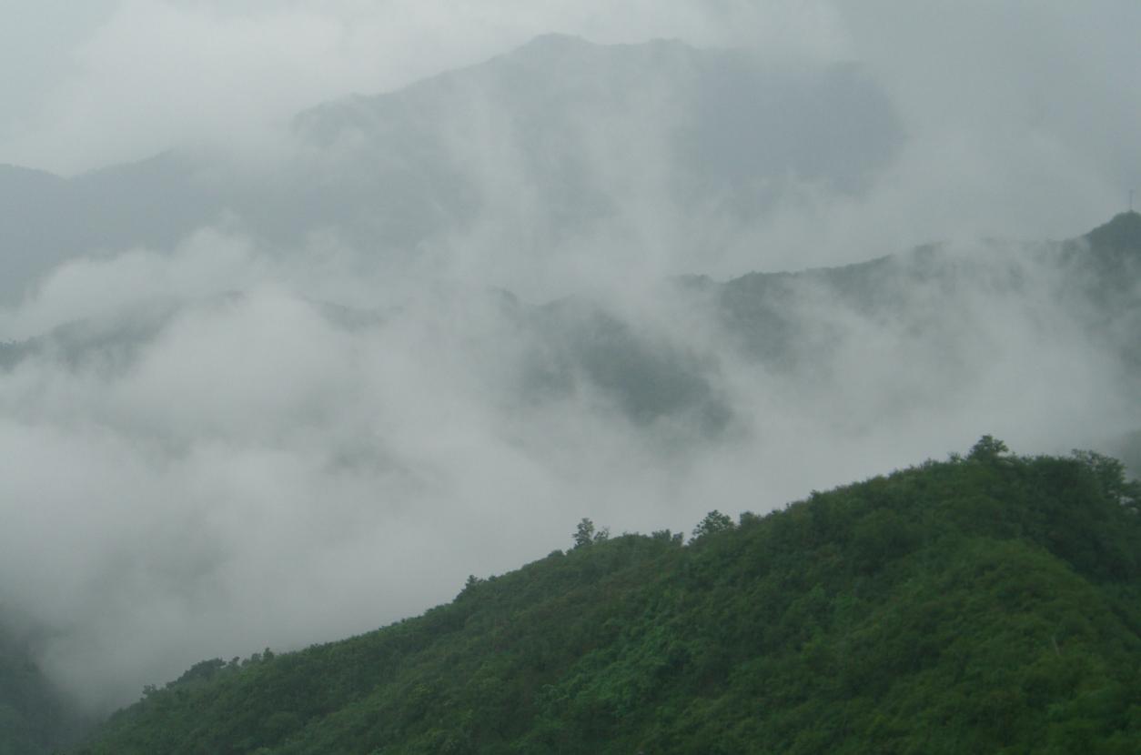 [������ͼ]С���ε���Ƭ�ǣ������к��ڼӹ��ģ�