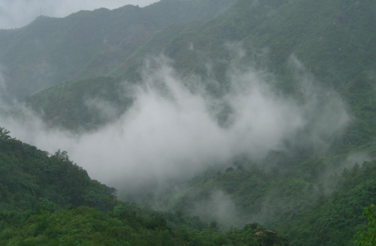 [������ͼ]С���ε���Ƭ�ǣ������к��ڼӹ��ģ�