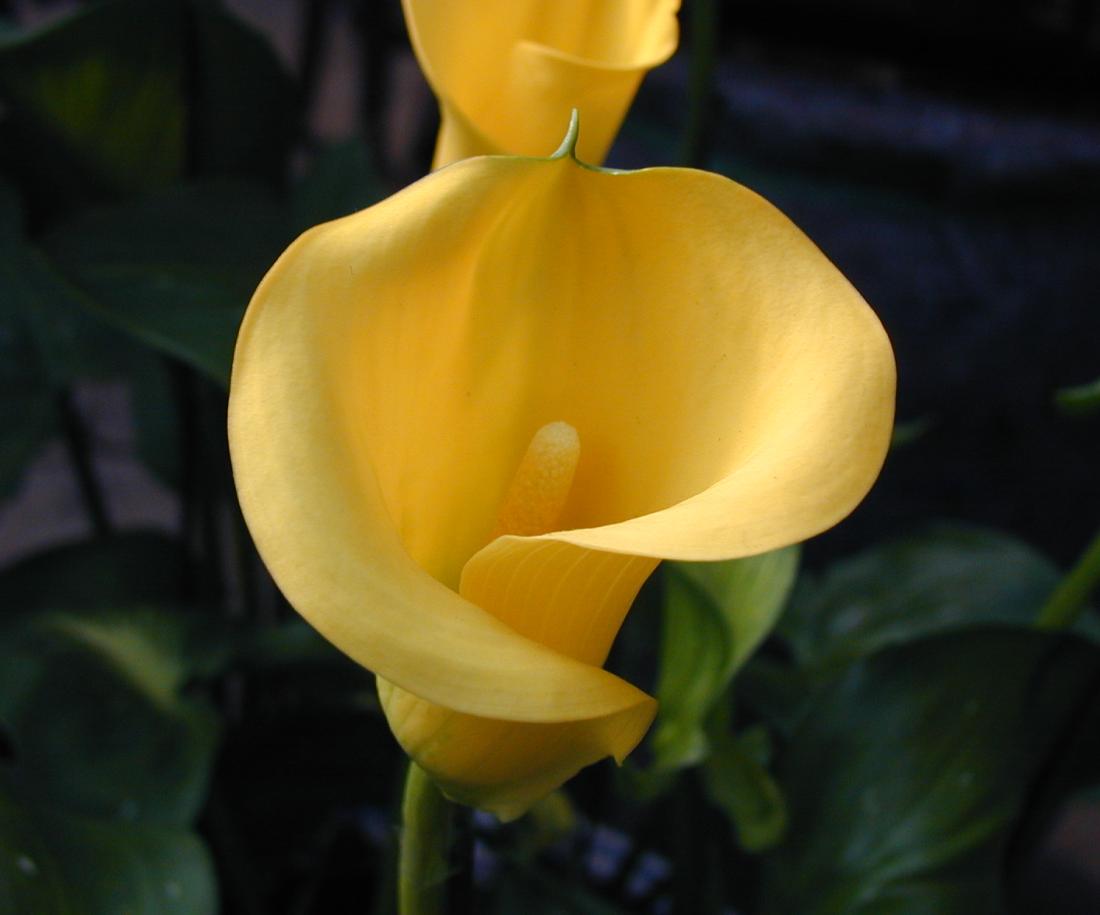 [������ͼ]С���ε���Ƭ�ǣ������к��ڼӹ��ģ���7��24�ո��£���