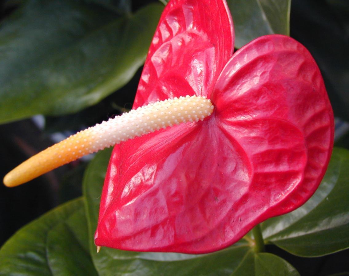 [������ͼ]С���ε���Ƭ�ǣ������к��ڼӹ��ģ���7��24�ո��£���