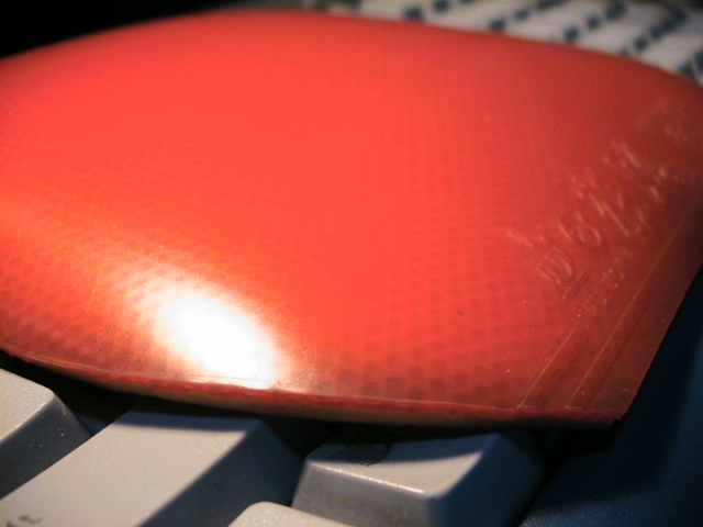 [��ͼ]��ʹתNITTAKU������������