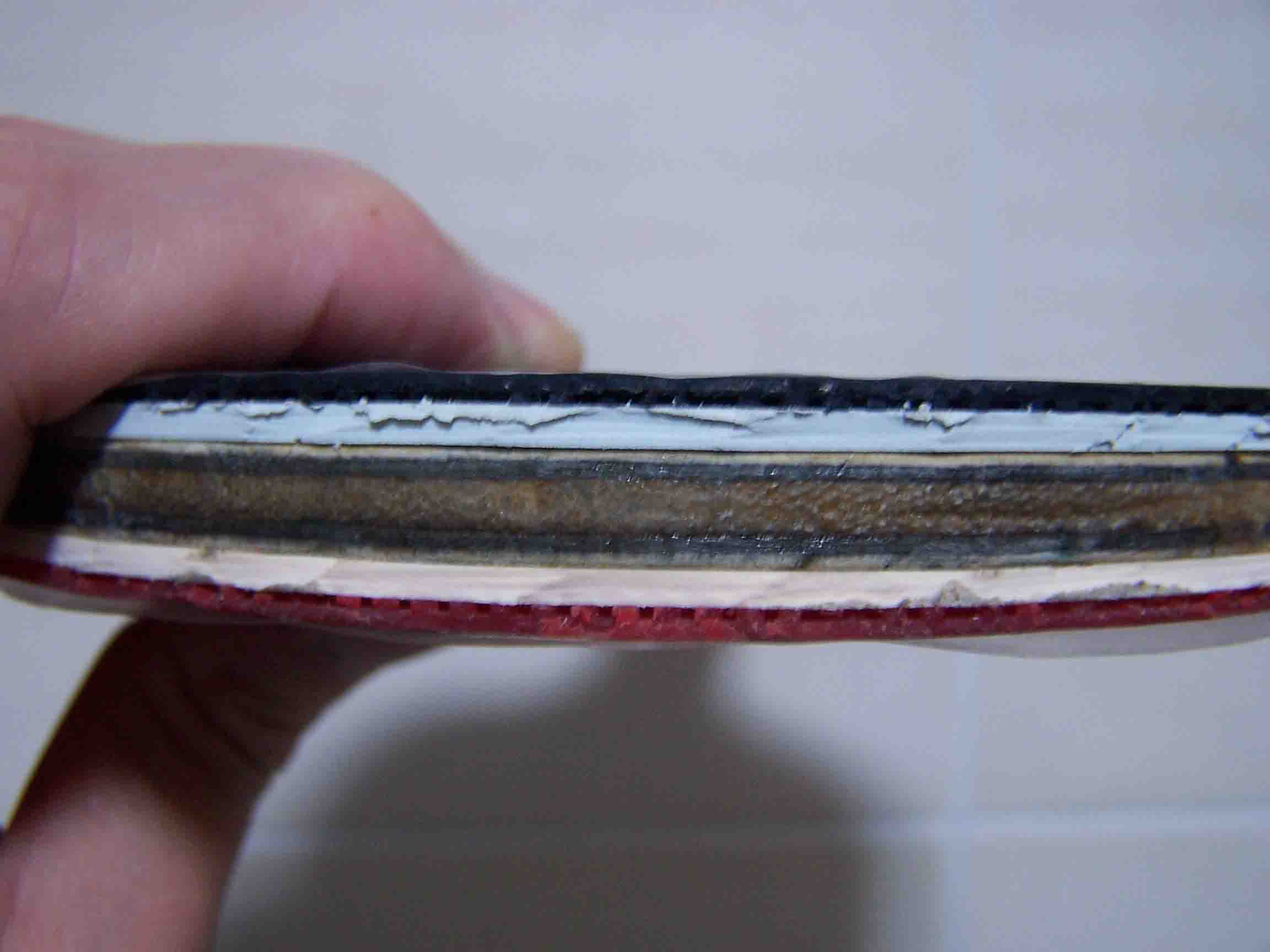 �����²�ɣ���ѵ�һ����������