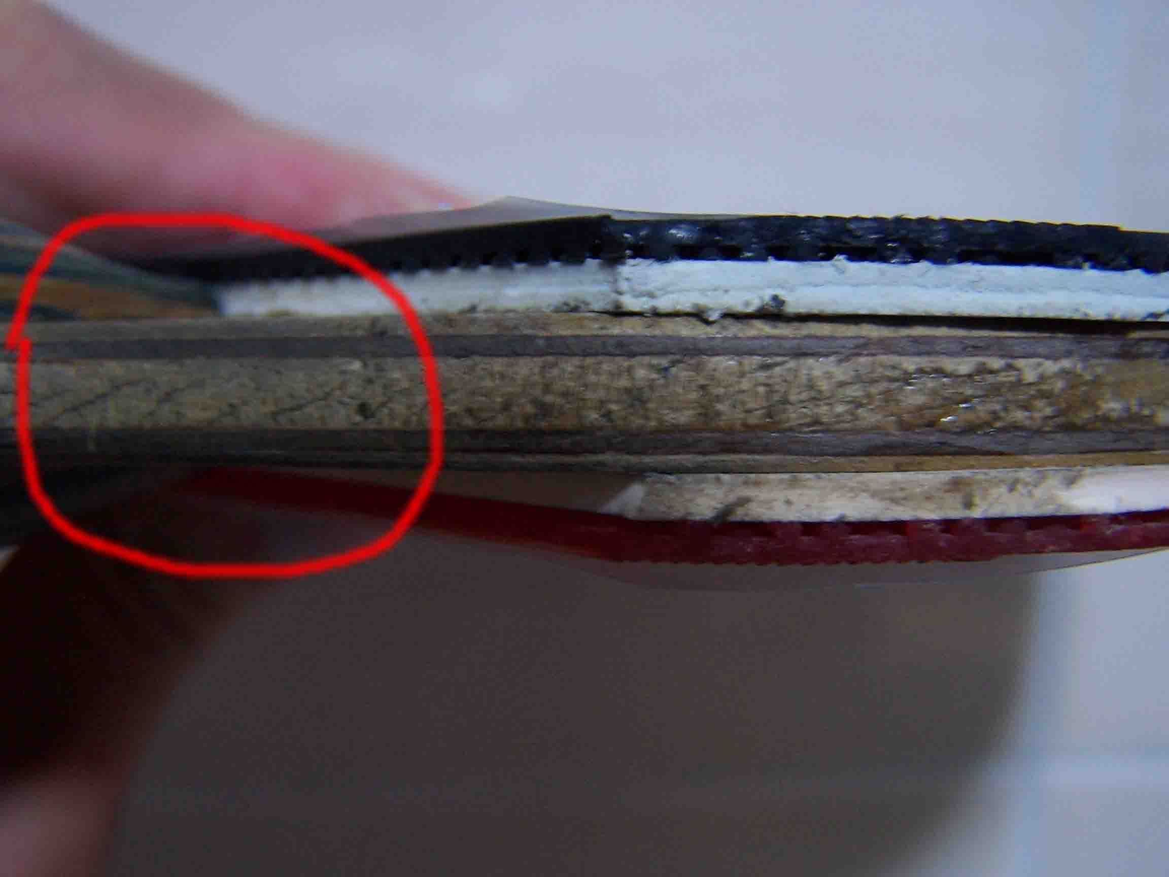 �����²�ɣ���ѵ�һ����������