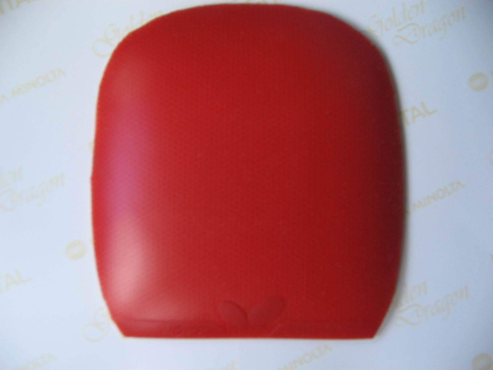 ���۴��50����+�ų��´�B,520����.