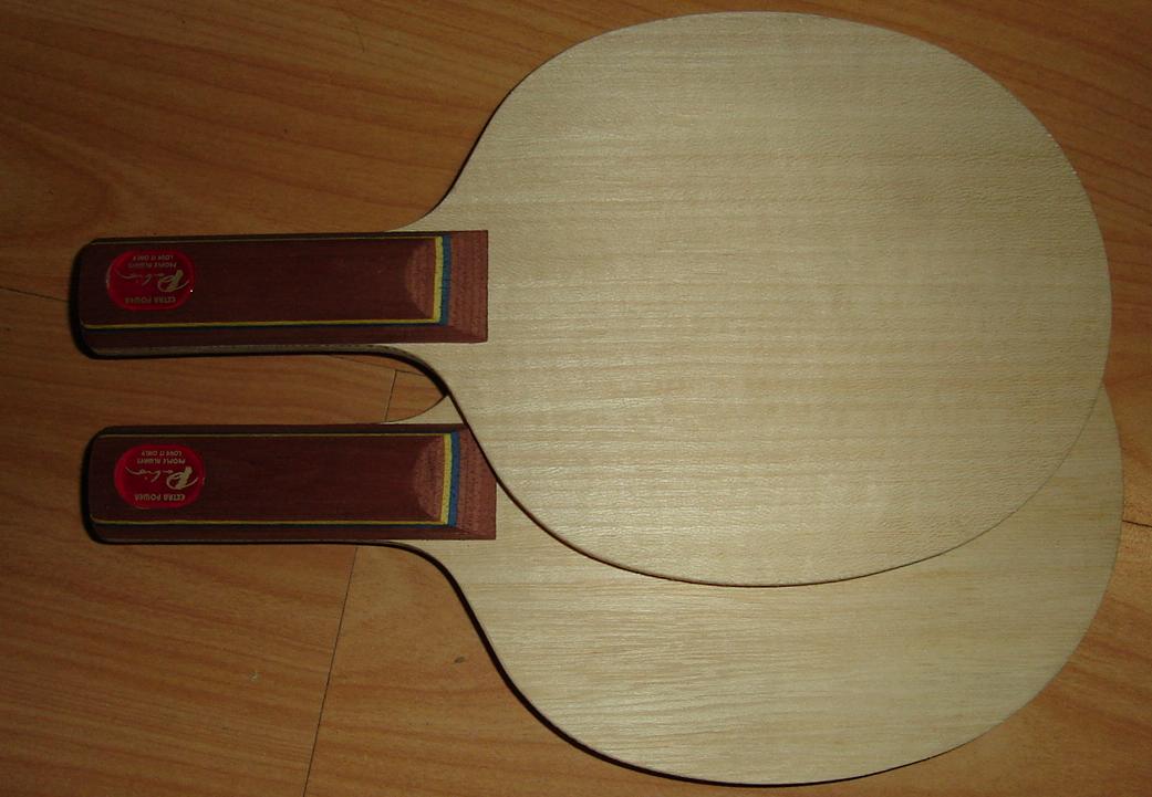 ����ȫ�¾�������,Ԥ�������������һֻ!