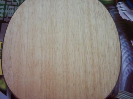 ����9���� JOOLA STING