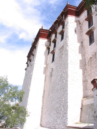 ���ֲ���Աƹ����Ӱ�������ࣩ֮����������ֱ�ߵ�ֻ��б�ߴ���