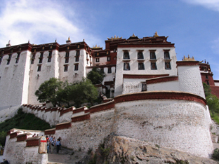 ���ֲ���Աƹ����Ӱ�������ࣩ֮����������ֱ�ߵ�ֻ��б�ߴ���