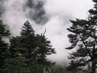 ��������ʥ������