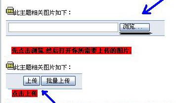 [����]Ҫ��ͽ�����