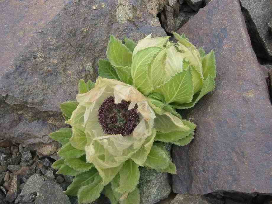 [��ˮ]���˵���Ϣ