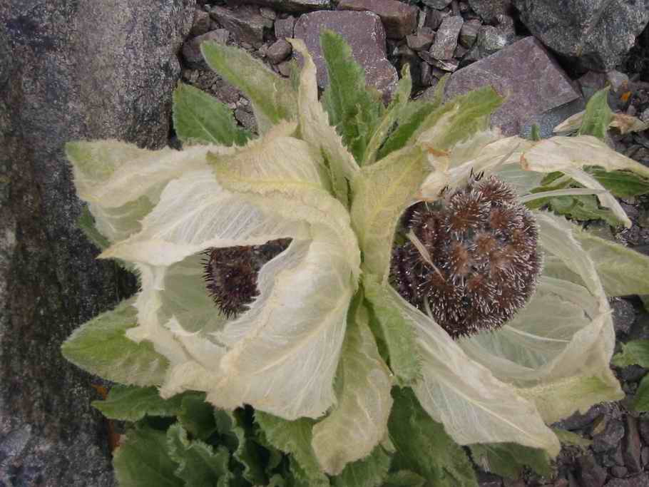 [��ˮ]���˵���Ϣ