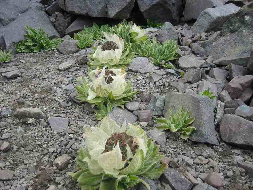 [��ˮ]���˵���Ϣ