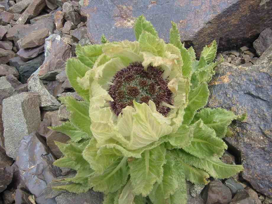 [��ˮ]���˵���Ϣ