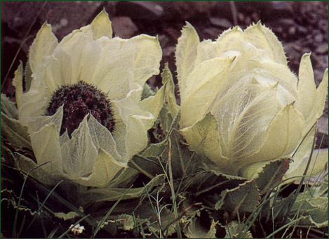 [��ˮ]���˵���Ϣ