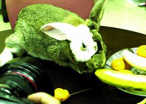 [��ˮ]���˵���Ϣ