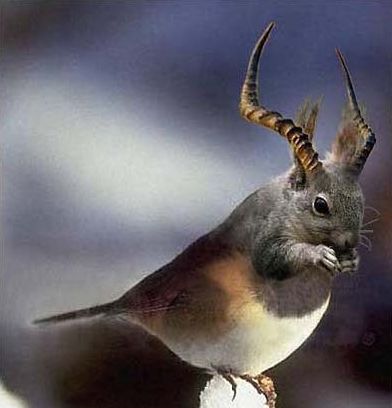 [��ˮ]���˵���Ϣ