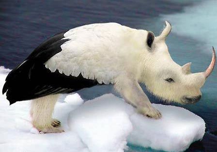 [��ˮ]���˵���Ϣ