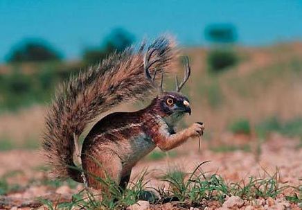 [��ˮ]���˵���Ϣ