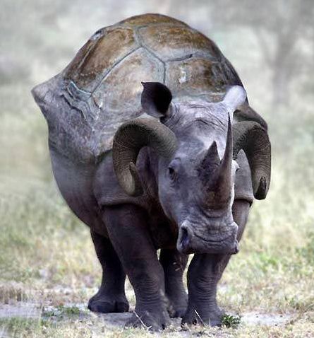 [��ˮ]���˵���Ϣ