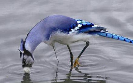 [��ˮ]���˵���Ϣ