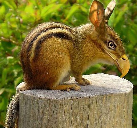 [��ˮ]���˵���Ϣ