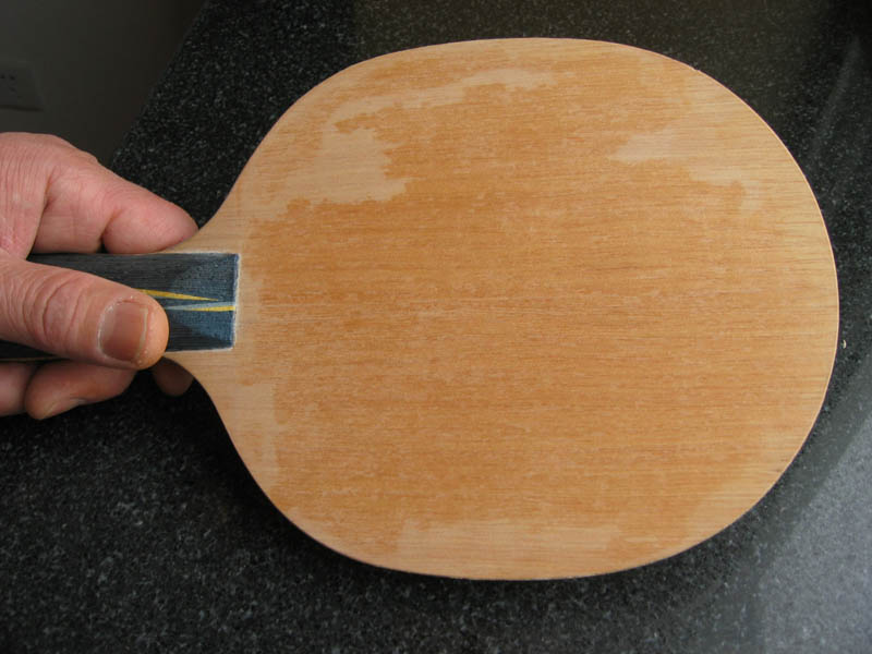 �ĺ�壬����yasaka extra(YE)