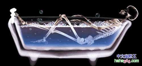 ��ɽ���������������Ƭ