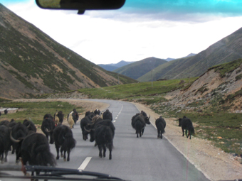 ���ֲ���Աƹ����Ӱ�������ࣩ֮����������ֱ�ߵ�ֻ��б�ߴ���