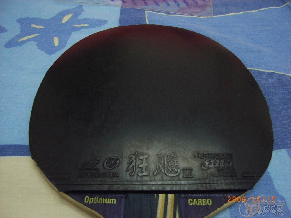 ������רҵ�׽������꣩