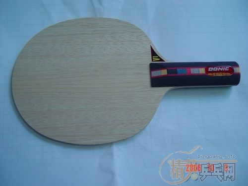 �ٳ�һֻ9.8 DONIC ��̼ST ��