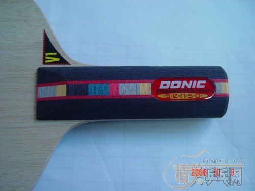 �ٳ�һֻ9.8 DONIC ��̼ST ��