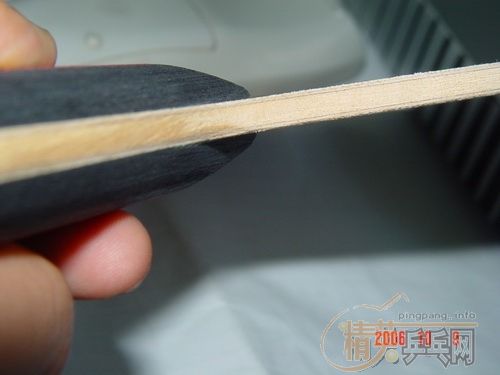 �ٳ�һֻ9.8 DONIC ��̼ST ��