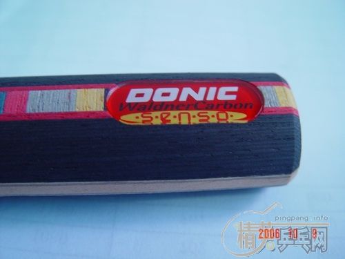 �ٳ�һֻ9.8 DONIC ��̼ST ��