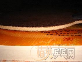 ֱ������