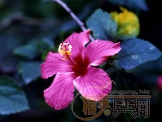 9.9���Ͻ�ת���Լ�����