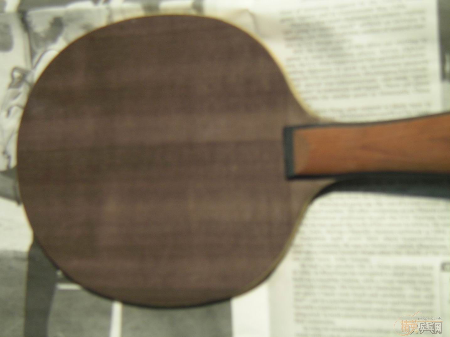 ת��SITGA OC FL 82�� ������280�����