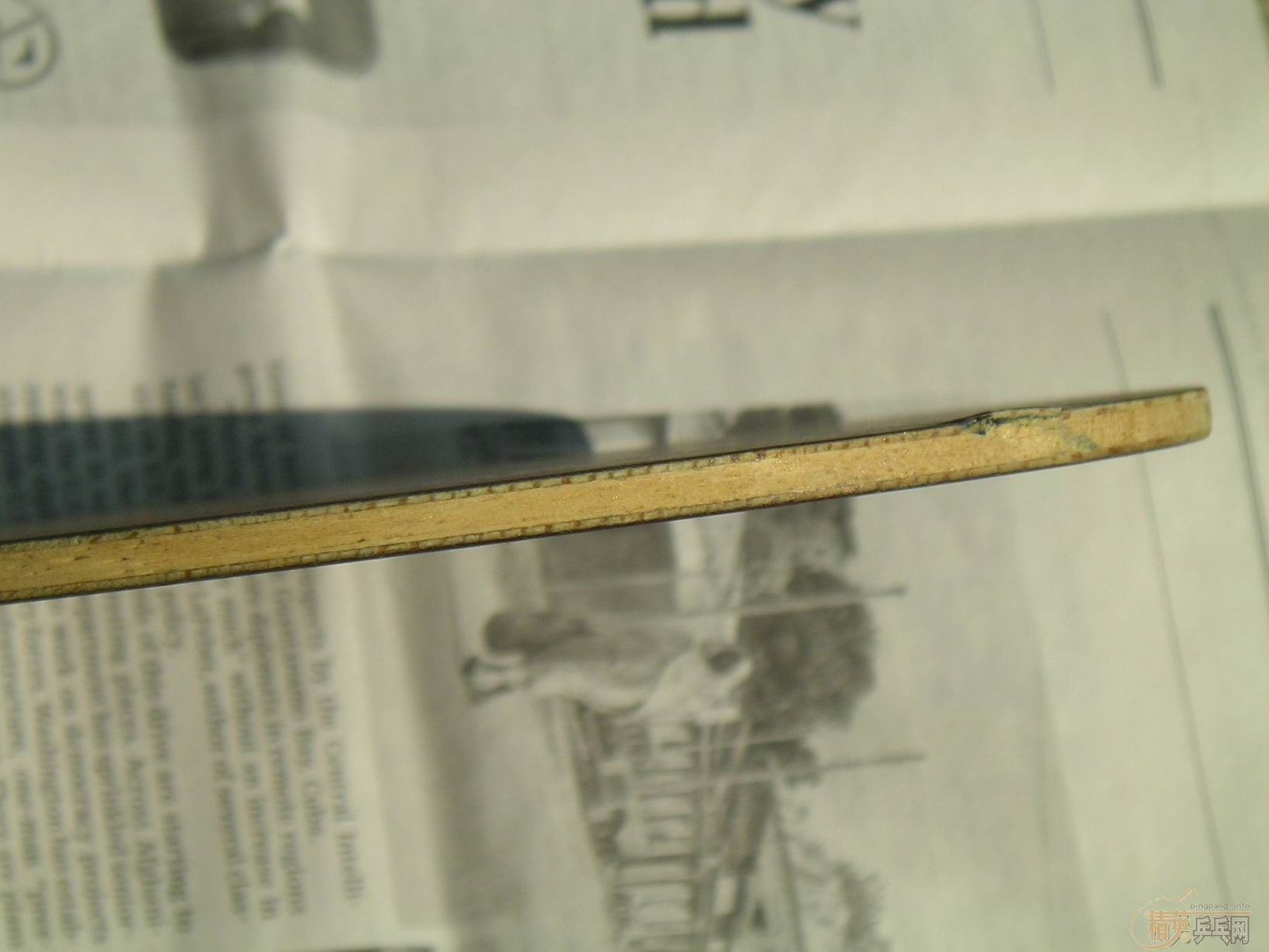 ת��SITGA OC FL 82�� ������280�����