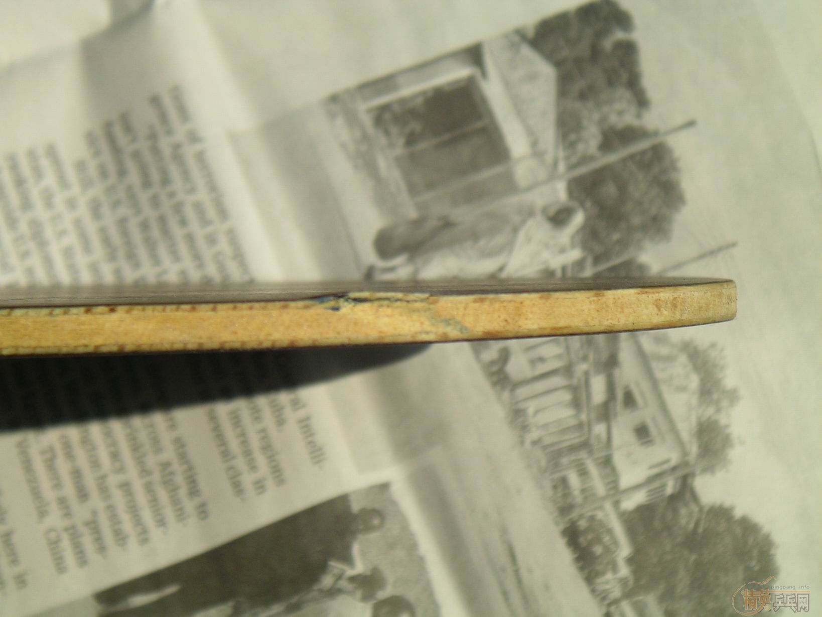 ת��SITGA OC FL 82�� ������280�����