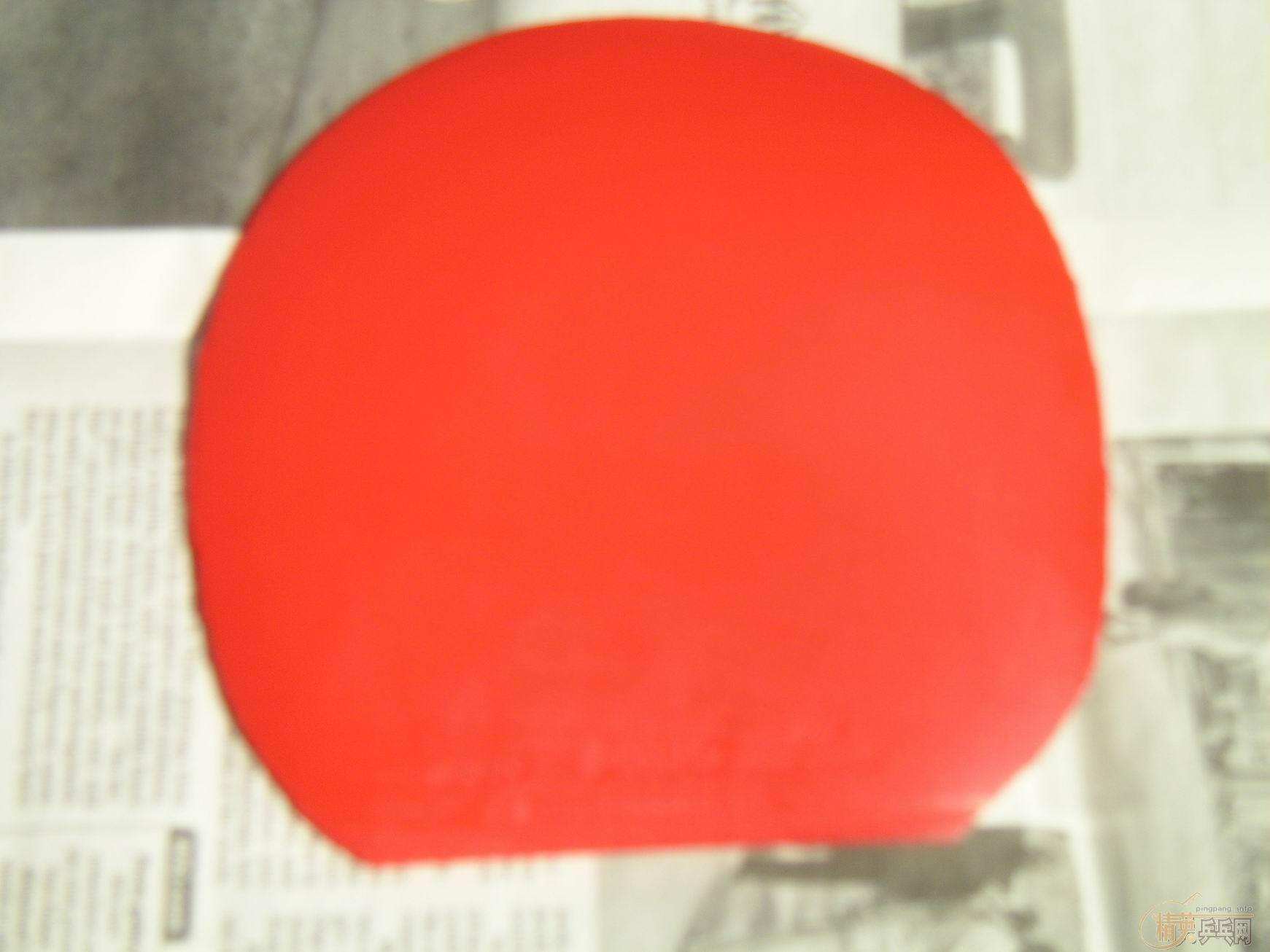 ת��SITGA OC FL 82�� ������280�����