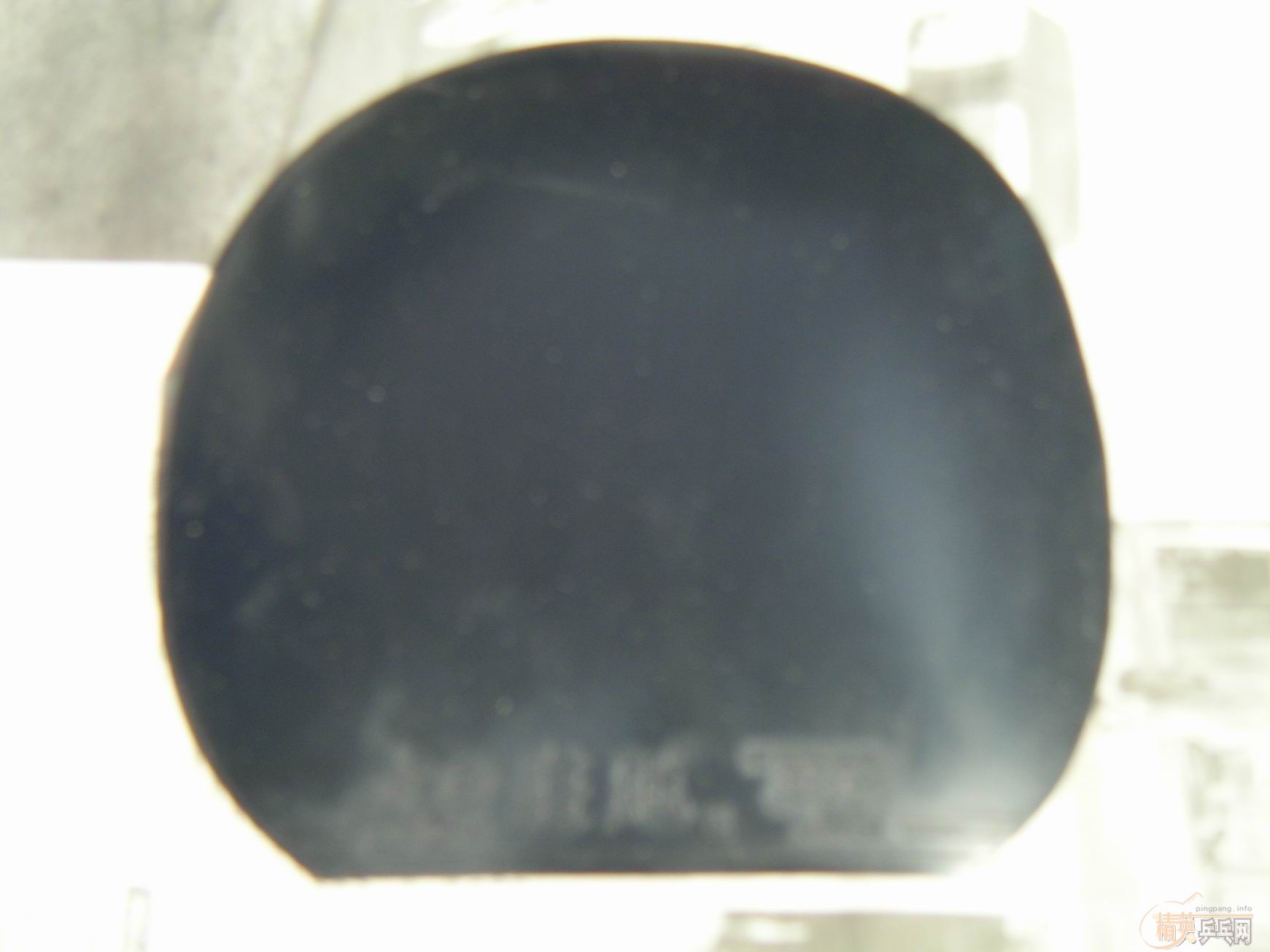 ת��SITGA OC FL 82�� ������280�����